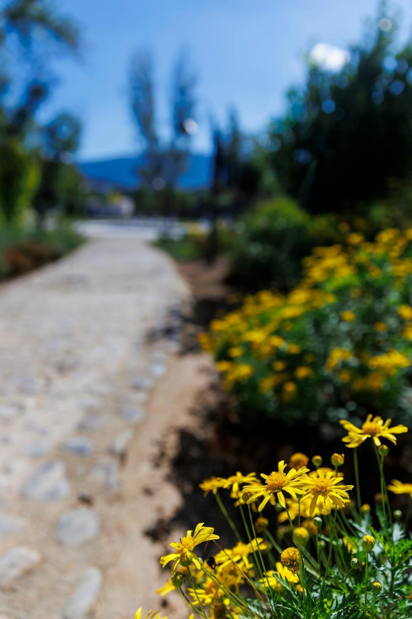 Finca Las Pecas Zambra ภายนอก รูปภาพ